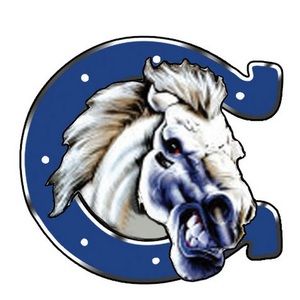 Meet your Posher, Igor